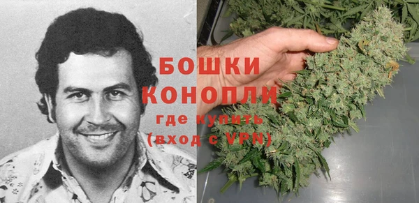 ПСИЛОЦИБИНОВЫЕ ГРИБЫ Осинники
