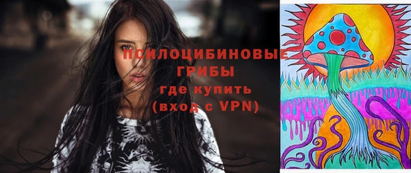 метадон Осташков