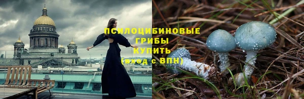 PSILOCYBIN Семёнов