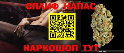 стафф Заволжье