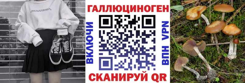 ссылка на мегу зеркало  Химки  Галлюциногенные грибы Psilocybine cubensis  где купить наркоту 