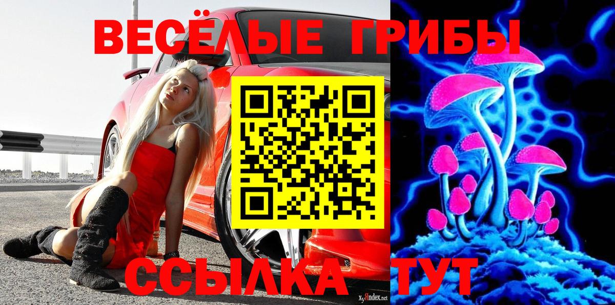 Галлюциногенные грибы GOLDEN TEACHER  Вход с VPN  Химки  Галлюциногенные грибы Magic Shrooms 